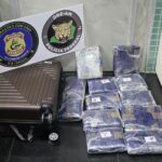 PF prende passageira com cerca de 14 kg de skunk no aeroporto de Manaus/AM