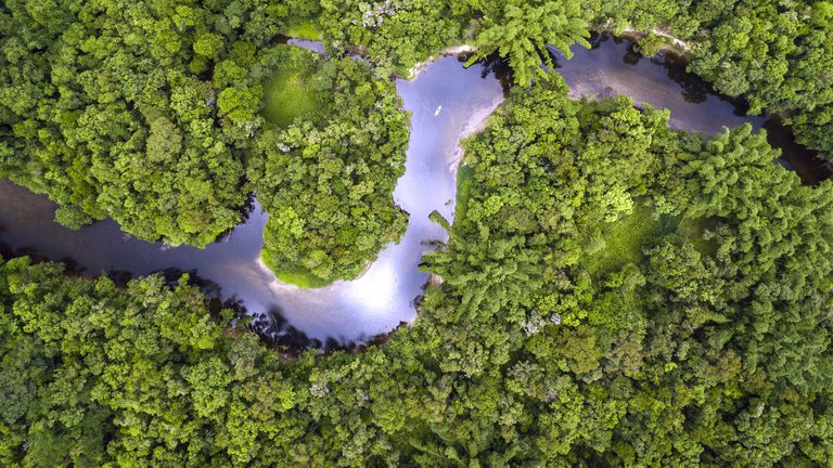 BNDES libera R$ 80 milhões do Fundo Clima para reflorestar áreas na Amazônia e Mata Atlântica