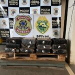 Polícia Federal apreende 130 kg de maconha em área rural do Paraná após conflito entre facções